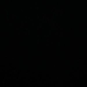 Meet your Posher, Liah